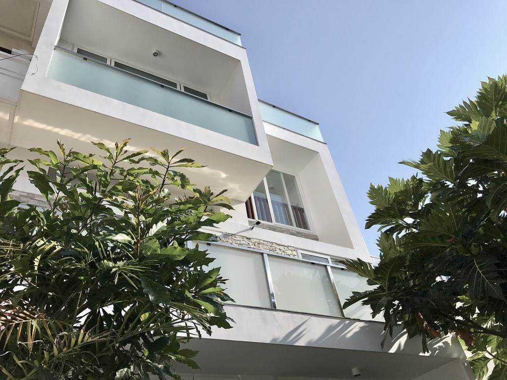 Vivid Garden Homestay 나트랑 외부 사진